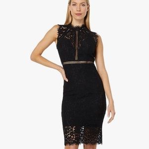 Bardot black lace sheath cocktail dress